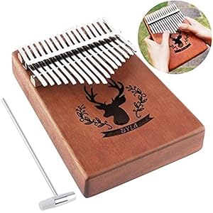 CHENTAOMAYAN 17 Key Kalimba Single Board Mahonie Duim Piano Mini Toetsenbord Instrument met Complete Accessoires (Kleur…