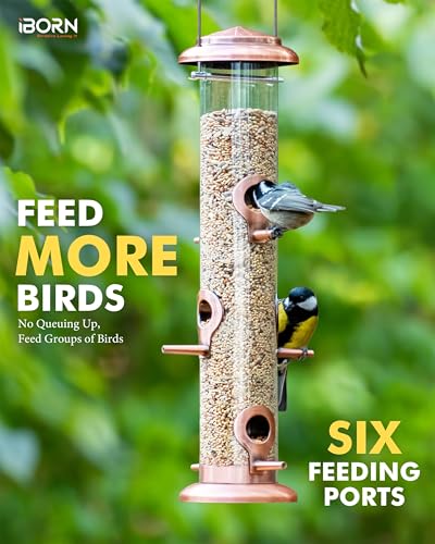 iBorn-Metal-Bird-Feeders-Brushed-Copper-Wild-Bird-Feeder-for-Outdoors-Hanging-All-Metal-Brushed-Copper-Finishing-14-Inch-6-PortSeed-is-not-Included iBorn Metal Bird Feeders Brushed Copper Wild Bird Feeder for Outdoors Hanging All Metal Brushed Copper Finishing 14 Inch 6 PortSeed is not Included