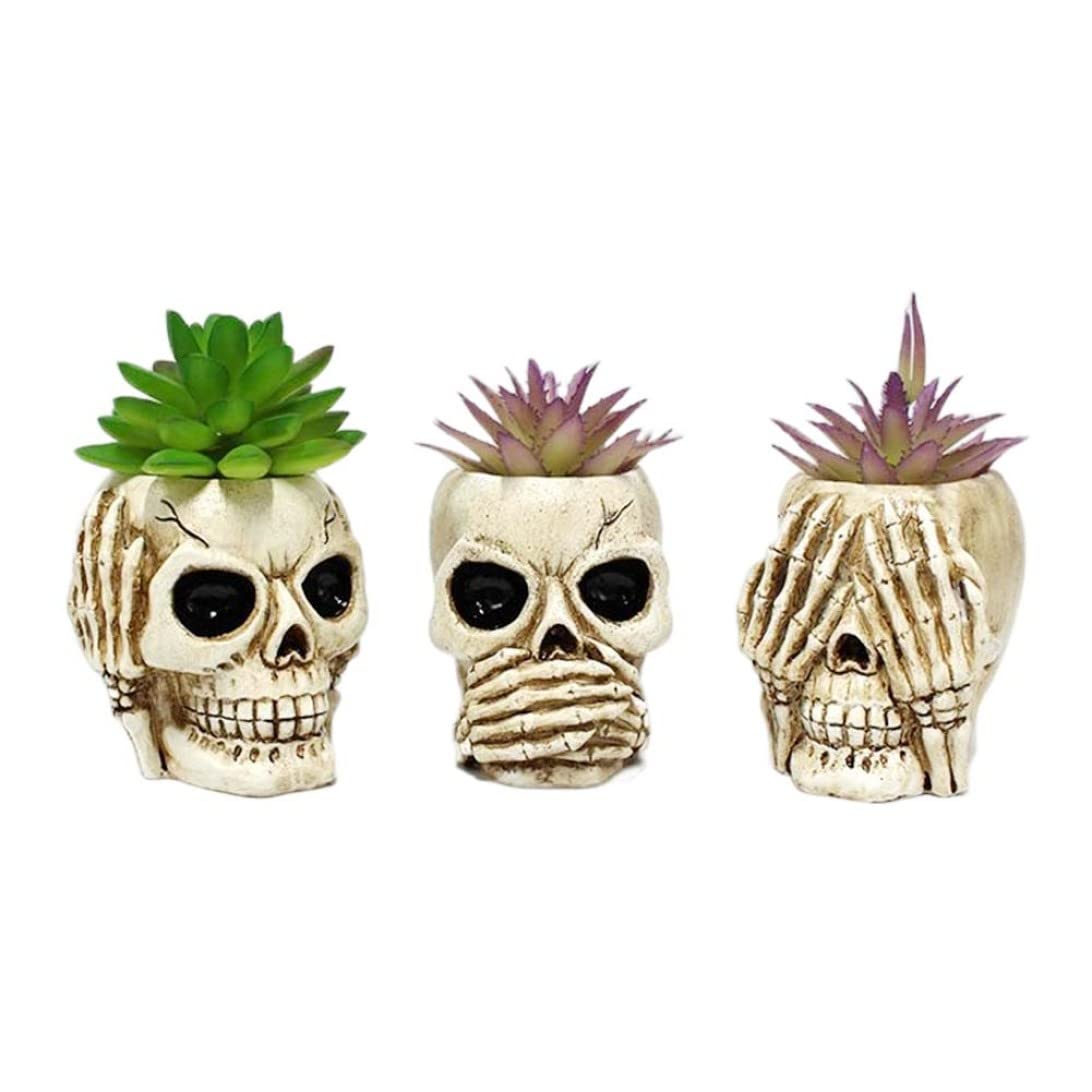 Lot de 3 pots de fleurs tête de mort en résine blanche pour déco