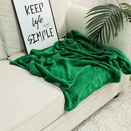 Image of NANPIPER Baby Blankets, Super Soft Fleece Fuzzy Blanket for Toddler, Luxury Cozy Lightweight Microfiber Plush Blanket-Throw Size 30 inchx40 inch,Emerald Green