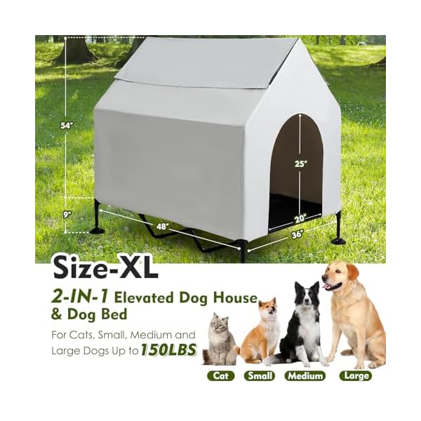 Elevated Pet Shelter for Outdoor