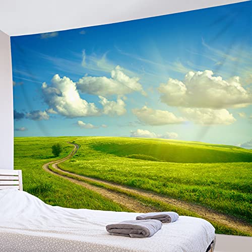 LB 自然風景タペストリー 緑の野原と青空と白雲 おしゃれ壁掛け インテリア ファブリック装飾品 モダン 多機能 部屋 窓 カーテン 新居祝い 個性プレゼント 布 グリーン 200ｘ150cm
