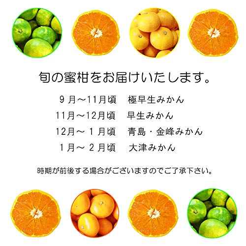 厳選フルーツ マルイチ西川商店 小玉みかん 約10キロ 熊本産 完熟蜜柑 訳あり品 S~4Sサイズ の商品画像 1