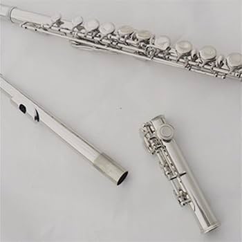 Amazon.co.jp: フルート初心者セット 学生の初心者がバンドで演奏する