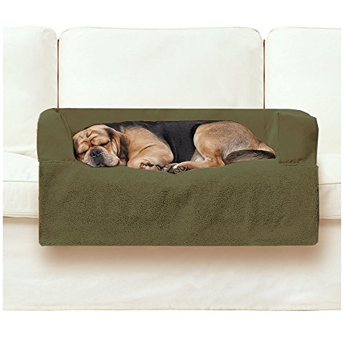 PawTex Premium Couch Cover Dog Bed, 40 inch, Medium/Large, Green