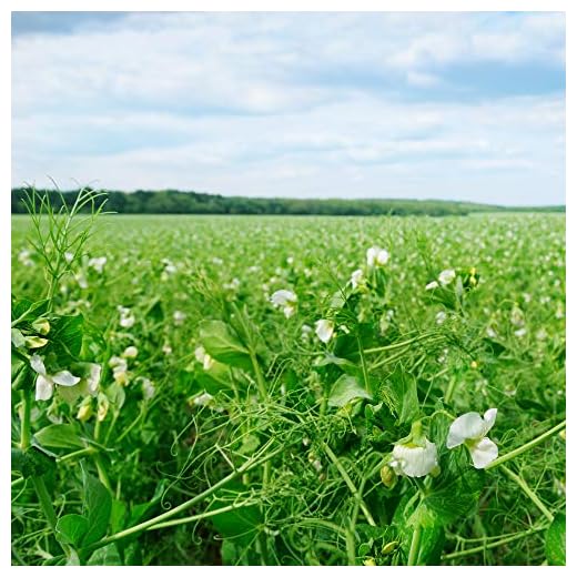 Outsidepride Dundale Spring Field Peas Seeds - 10 lbs. Annual, High-Protein Legume & Cover Crop Seeds for Forage, Food Plot, Gardens & Pastures - Ideal for Improving Soil Health, & Erosion Control