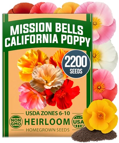 Image of HOME GROWN California Poppy Mission Bells 2200 Seeds (2g) - Flower Seeds for Planting Outdoors, Vibrant Spring & Summer Blooms, Drought Tolerant Annual for Sunny Gardens (Eschscholzia californica)