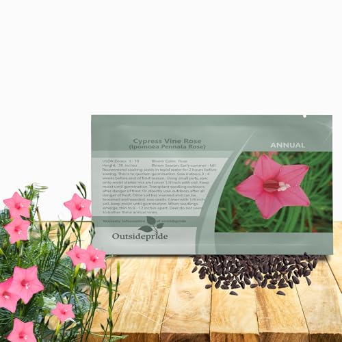 Outsidepride Rose Cypress Vine Seeds - 100 Pcs...