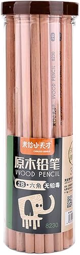 YYMIYU Lápiz de escritura Niños 2B Lápices de Dibujo 30 Botellas