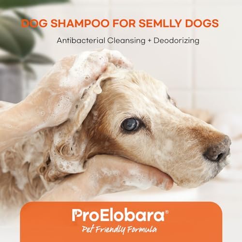 Medicated Dog Shampoo for Allergies and Itching: Antifungal Dog Shampoo, Yeast Infection and Bacterial Treatment for Dogs - Helps Hot Spots, Deodorizing and Anti Itch - Healthy Skin & Coat (Pack of 2 - 5