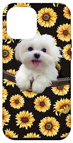 Maltese Dog Sunflower Case for iPhone 12 Pro Max
