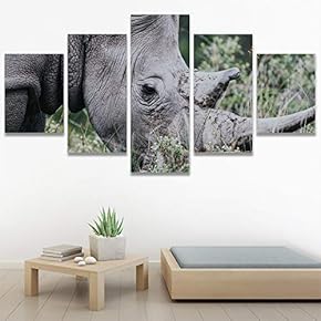 SIGNWIN 5 Panel Canvas Wall Art Animals Black...