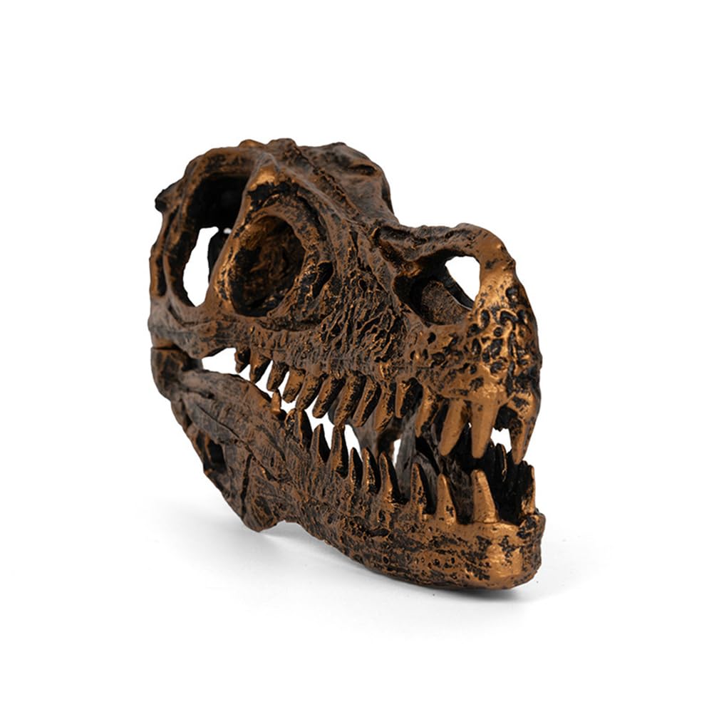 Dinosaur Skull Model Resin Velociraptor Skull Animal Skeleton Ornaments