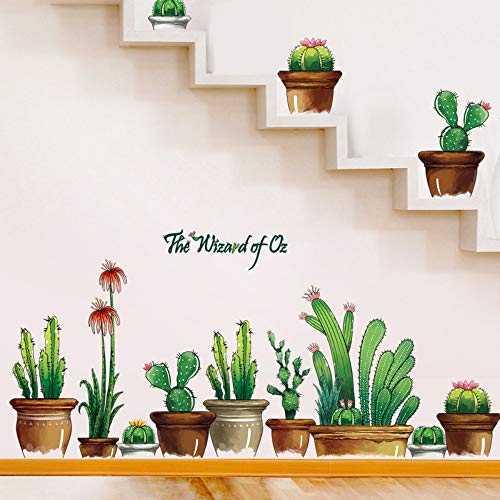 Obanban Cactus Idilliaco Conservato in Vaso della