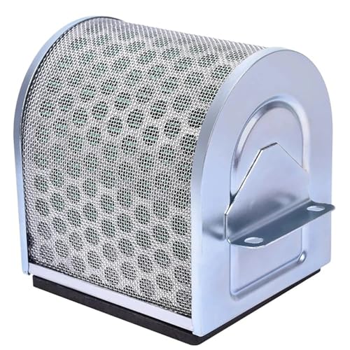 Hochdurchflussmotor Motorrad Ölfilter Luftfilter Ansaugreiniger Änderungszubehör Für Voge 500R 500AC 500DS 500X LX500-A(Air Filter)