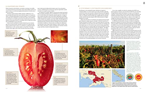 Modernist Pizza Spanish Edition