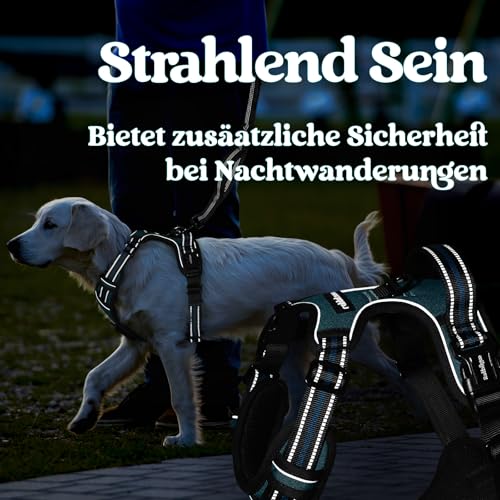 rabbitgoo Hundegeschirr Grosse Hunde, Verstellbare Geschirr Hund ohne Zug & Würgen, Anti Zug hundegeschirr mit Griff, weich Gepolsterte Reflektierende Brustgeschirr, Dunkelgrün L