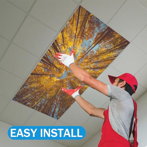 Image of 8 Pcs Fluorescent Light Covers with 80 Magnets Decorative for Classroom Ceiling Light 4 x 2 Feet Magnetic Light Covers Filter Easy Install for Office Hospitals & Home Drop Ceiling Supplies