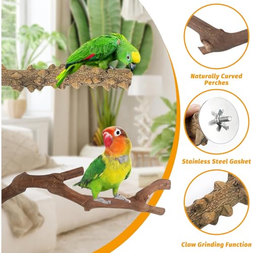 Image of kathson 5pcs Natural Parrot Perch for Cage Wooden Bird Perches Grape Bird Stick Parakeet Climbing Standing Branches Toy Chewable Cage Accessories for Small Budgies Cockatiels Lovebirds Budgies