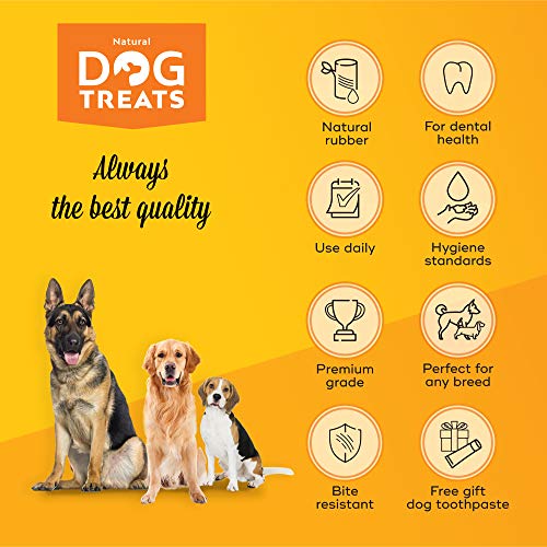 image for Natural Dog Treats Toothbrush Stick and Toothpaste Beef Flavor Dental 