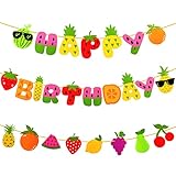 Fruit Theme Birthday Party Decorations Happy Birthday Felt Banner Fruit Patterns Garland for Summer Fruit Birthday Party Baby Shower Supplies