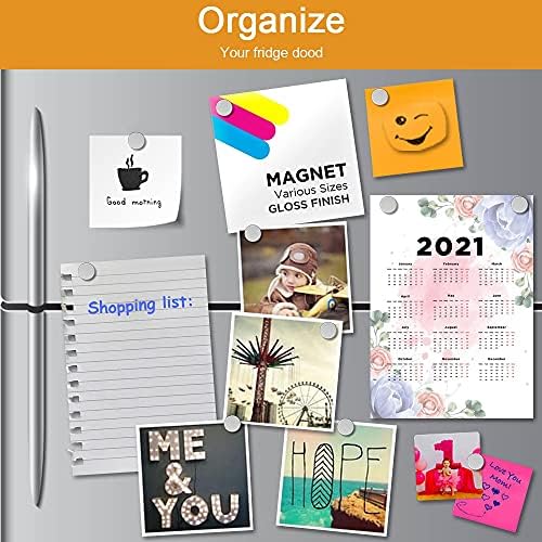 Vicloon Neodymium Magnets, 35Pcs Fridge Magnets Mini Strong Whiteboard Magnets Heavy Duty Round and Cone Pin Magnets Set with Storage Box for Office Refrigerator Map, 12*16mm 12Pcs, 3*10mm 23Pcs