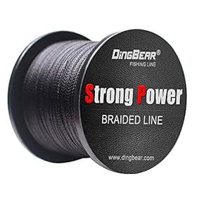 Dingbear 109Yd / 100m 135LB / 0.60mm zwart Super Strong Pull Generic Gevlochten Vislijn Vliegerlijn Geweven Netwerkkabel Cast Super Krachtige Vislijn …