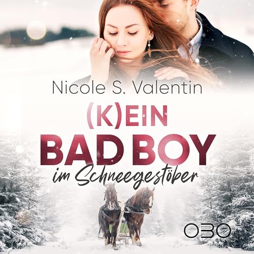 (K)ein Bad Boy im Schneegestöber [(Not) a Bad Boy in the Snowstorm] cover art