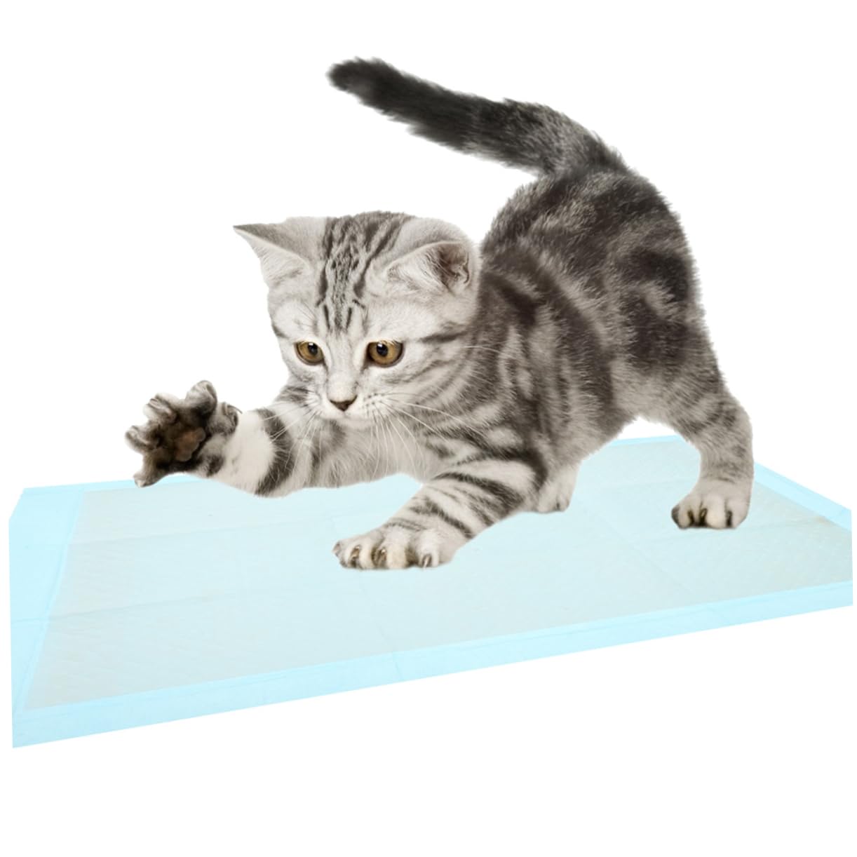 UPKOCH 100pezzi Tappetini Monouso Assorbenti Per Cani e Cuccioli Tappetini Per Per Animali Domestici Adatti Per Addestramento Al Vasino Pulizia Quotidiana