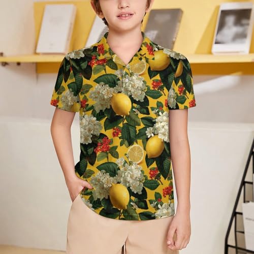 Boys' Classic Polo Shirts Short Sleeve Moisture-Wicking Golf & Tennis Shirts for Youth Teens Oil Painting of Lemon2