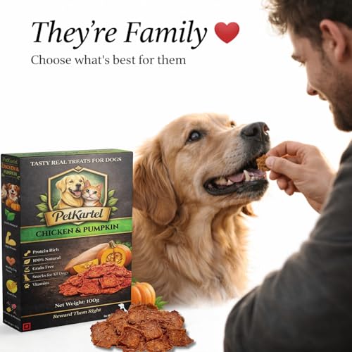 Image of Chicken Dog Treats | Protein Rich Natural Dog Snacks with Farm Fresh Chicken | Grain Free Healthy Training Treats for Puppies & Adult | Nutritious Reward Bites | 100g (Chicken & Pumpkin)