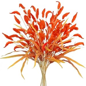 8Pcs Fake Fall Flowers Stems, 28inch Artificial Orange Bunny Tail Flowers Faux Fall Floral Arrangements for Vase Home Wedding Centerpieces Fall Thanskgiving Decor 8Pcs Fake Fall Flowers Stems 28inch Artificial Orange Bunny Tail Flowers Faux Fall Floral Arrangements for Vase Home Wedding Centerpieces Fall Thanskgiving Decor