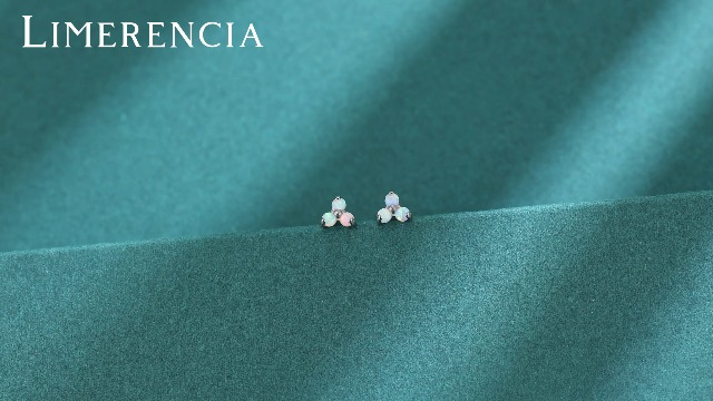 Titanium bicolor oorstekers - Boccia 0561-02 - huidvriendelijke sieraden