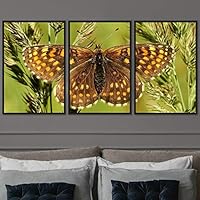3 Piece Framed Canvas Wall Art Colorful Butterfly Insects Canvas Prints Home Artwork Decoration for Living Room,Bedroom - 16