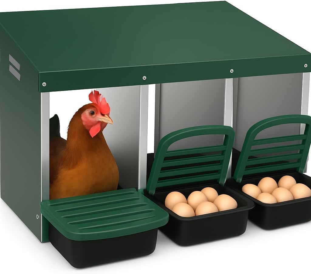 Garvee Ponedero para Gallinas de Metal con 3 Departamentos - Caja Nido con Recogida Automática de Huevos - Nido Galvanizado con Patas para Gallinero - Diseño Ventilado y Resistente - 80x52x47cm