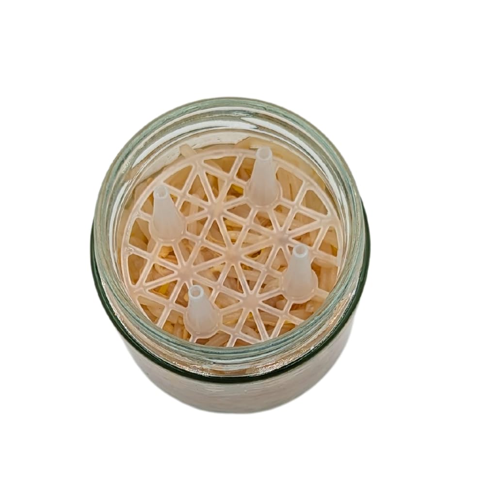 Fermentieren Starter-Set 4 Fermentiergläser 410 ml mit Blueseal Deckel (PVC frei), Fermentiergitter + Holzstampfer