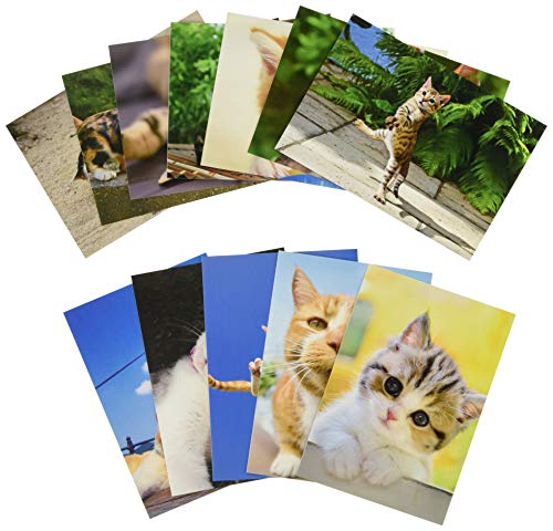 【新品】TASCHEN PIN-UPS ポストカード100 新品】TASCHEN PIN-UPS ポストカード100 Taschen Pin-Ups