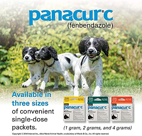 Panacur C Canine Dewormer Dogs 1 (3 Packets) Gram Each Packet Treats 10 Lbs thumb #3