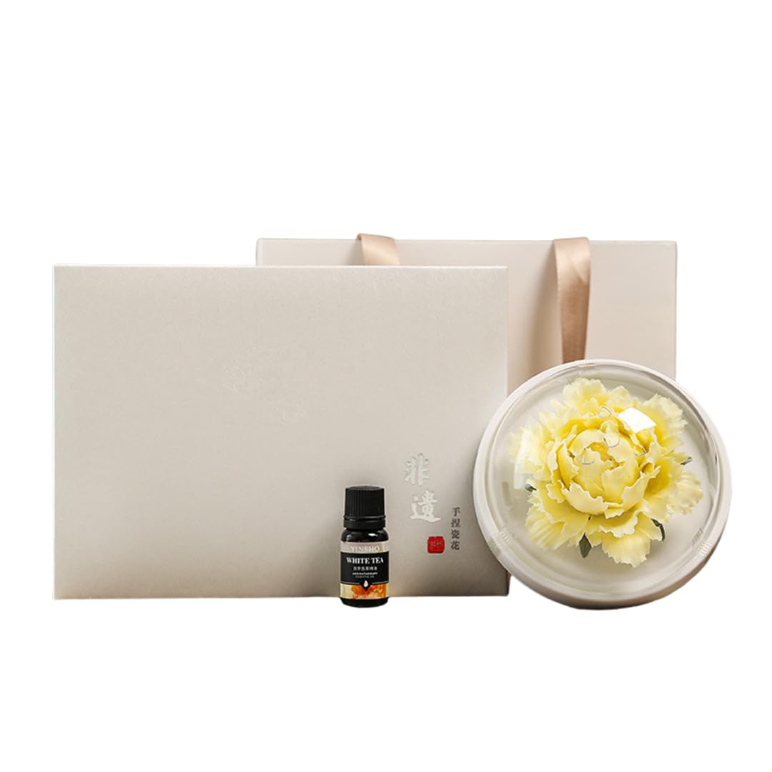 Difusor de aceites esenciales de cerámica hecho a mano para mujeres, regalo artesanal de herencia intangible china con cubierta acrílica a prueba de polvo para decoración del hogar y la oficina