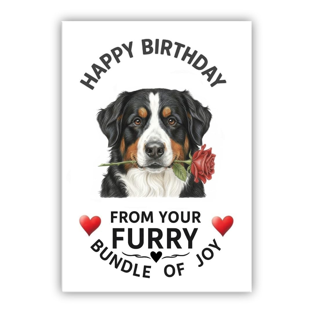 Birthday Card From the Dog – Multiple Breeds Available – Cute & Funny Pet Birthday Card – Dogs Lover Gift (• Bernese Mountain)