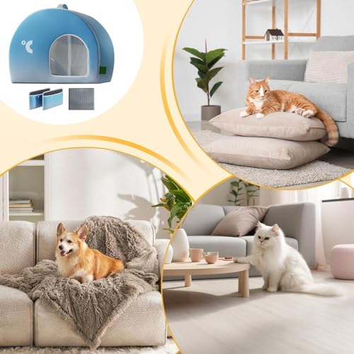 Maison de chat refroidissante grand abri imperméable chiens