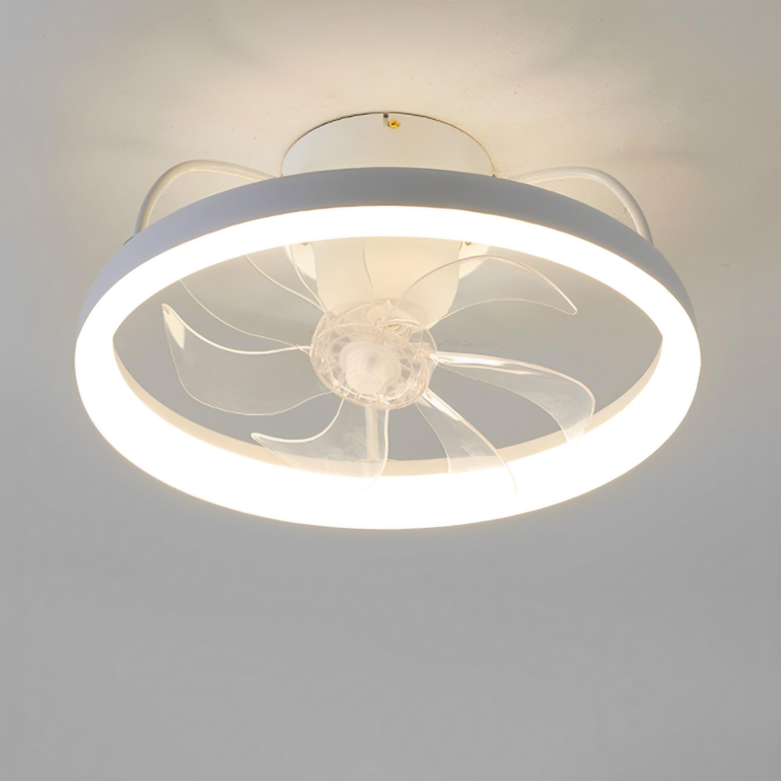 HXYSXHJUO Modern Remote Ceiling Light With Fan 6 Speeds Mute Dimmable 20in Fans 48W LED Bedroom Dining Room Kids Lights Lighting