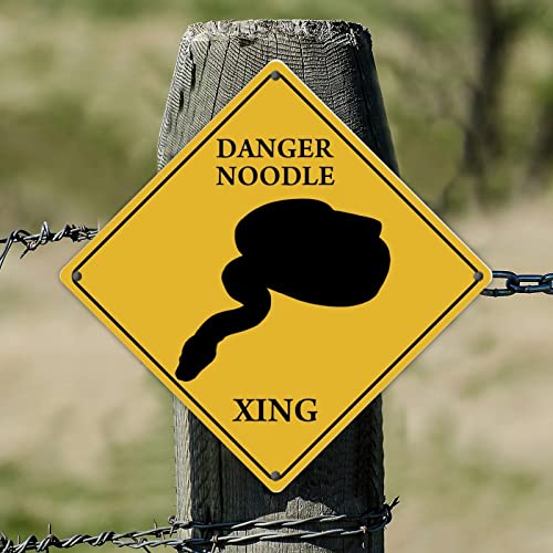 Snakes Danger Noodle Xing Warning Metal Tin Signs Shot Up Tin �A���~�T�C�� �V���r�[�J�X�^���u���L�E�H�[���A�[�g�T�C�� �z�[���o�[ �p�u �J�t�F �t�@�[�����[���p���� 30.5x30.5 cm