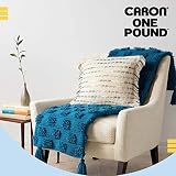 Caron Przędza One Pound Sky Blue - 2 opakowania 454 g / 16oz/16 uncji - akryl - 4 średnie (czesanka) - 800 jardów - dziewiarstwo/szydełkowanie