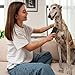 GroomPro Deshedding Brush, 2025 New Pet Hair Remover Comb for Shedding, Pet Grooming Brush for Dogs and Cats Long and Short Hair (2)