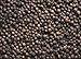 Unpretentious Whole Black Peppercorns, Pepper Mill & Grinder Refill (9.6 Ounce)