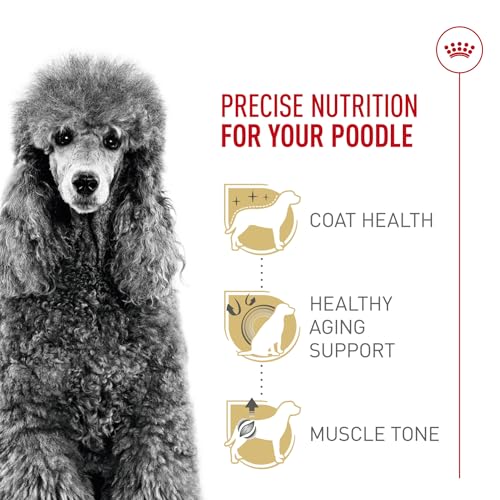 ROYAL CANIN Breed Health Nutrition Poodle Adult Dry Dog Food, 2.5-Pound by Royal Canin