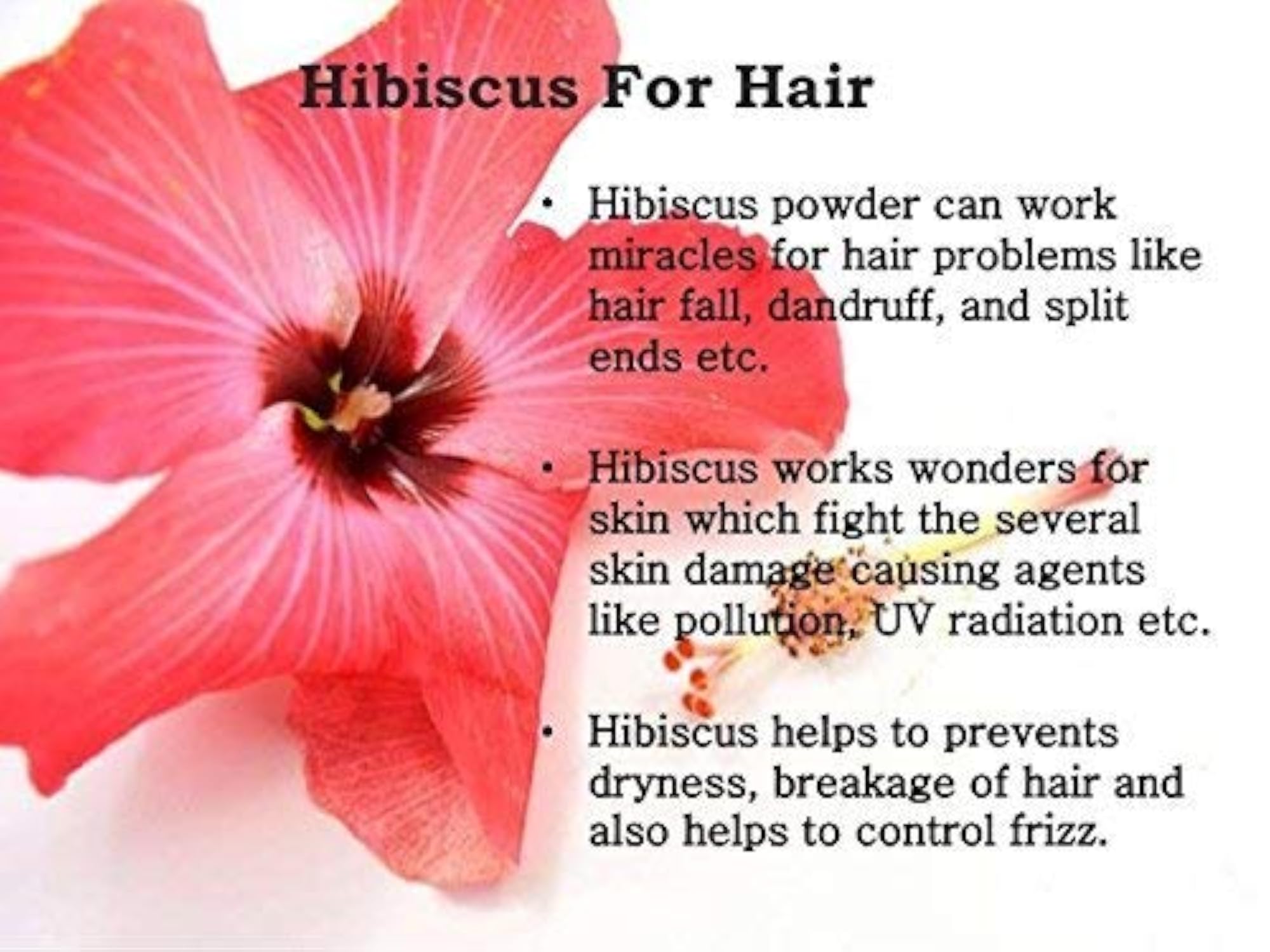 Hibiscus Flower Powder, 100g