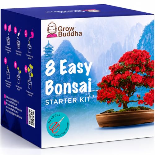 Bonsai Tree Kit | Grow Your own 8 Beautiful Bonsai Tree Varieties at Home| Complete Growing kit Suitable for Beginners to Experts - Grow Indoor Plants Memorable Gift for Women Men and Children