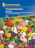 Kiepenkerl